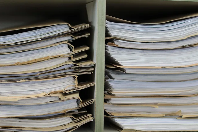 files, files shelf, paper, office, planning, write, work, paperwork, workplace, mountains of files, authority, document, information, files, files, files, paperwork, paperwork, paperwork, paperwork, paperwork. What documented case files reveal about nonprofit content output