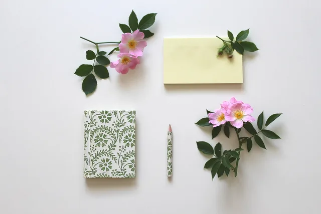 notizbiuch, notes, note, paper, stickies, notepad, writing tool, office, rose flower, block, write, freedom of text, message, notebook, booklet, enter, rose, pink, romantic, unlabeled, office supplies, write down. Nonprofit social media: choosing channels and a cadence